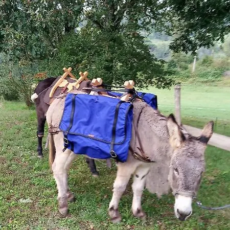 Les Ondines * Mazeyrolles